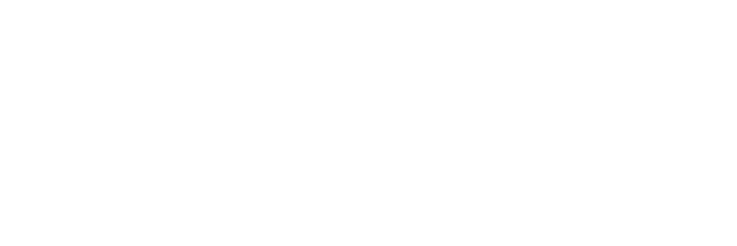 TechSavvy Consulting